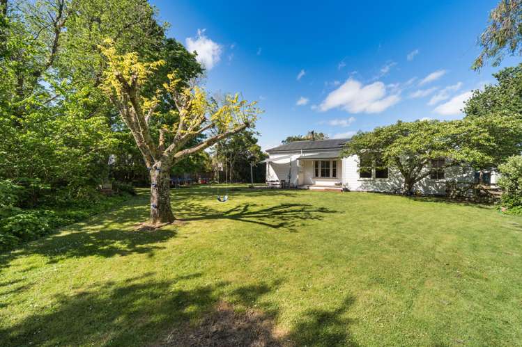 269 Cambridge Avenue Ashhurst_3