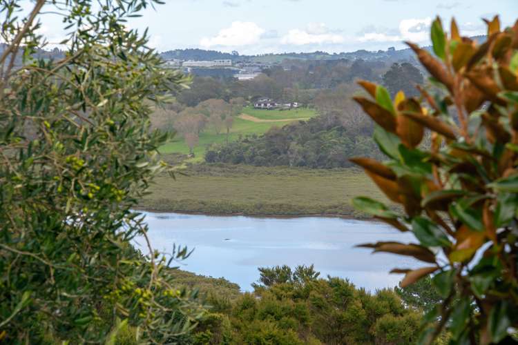 82 Rivervale Grove Stanmore Bay_5