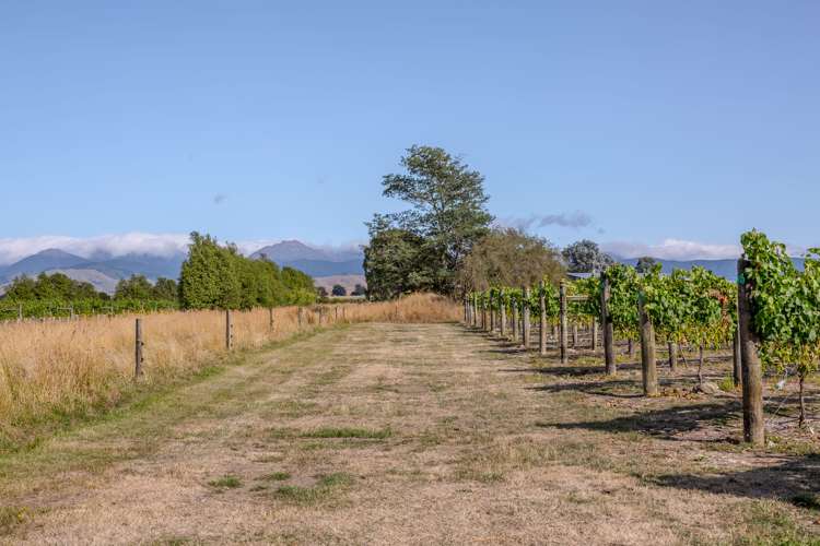 46 Waipipi Road Opaki_12