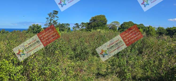 Address withheld Sigatoka_33
