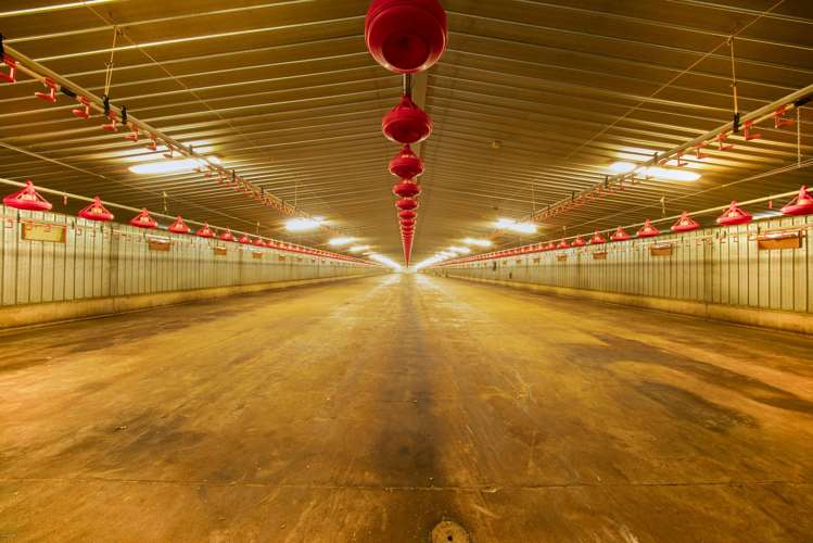 15 Horndon Street Darfield_5