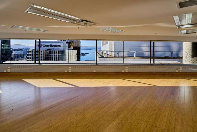 8 Gilmer Terrace Wellington Central_5