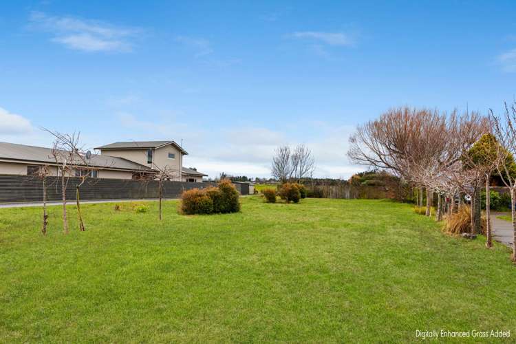 689 Queens Drive Waikiwi_2