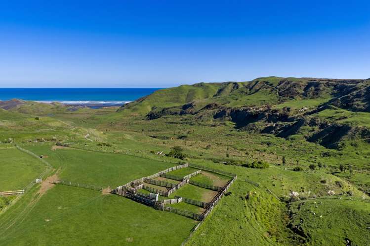 767 Te Akau Coast Road Te Akau_22