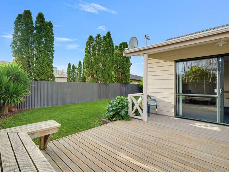 33 Ruahine Street Roslyn_19