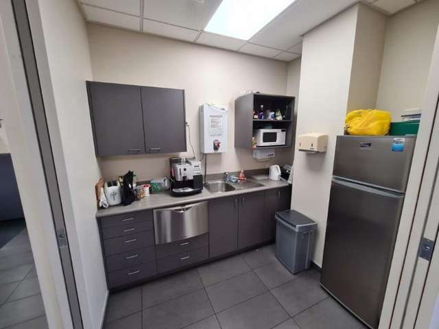 123 Ormiston Road Flat Bush_3