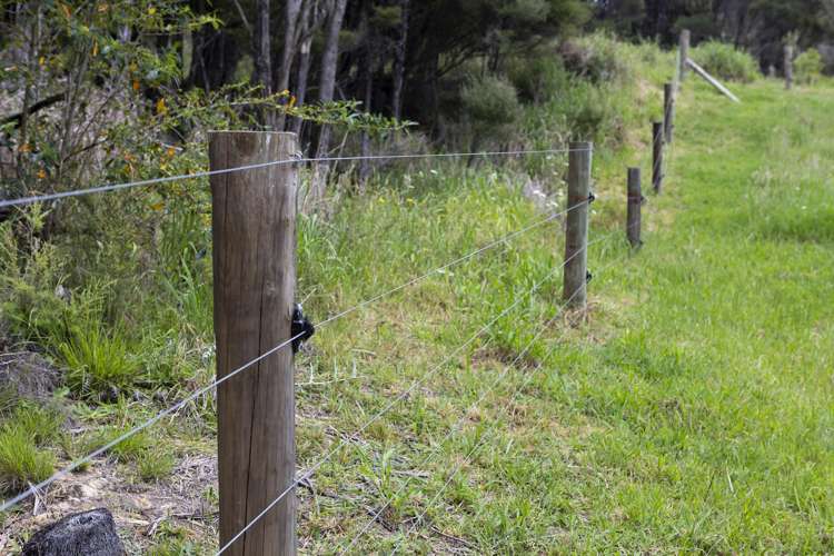 1214 Oruru Road Peria_31