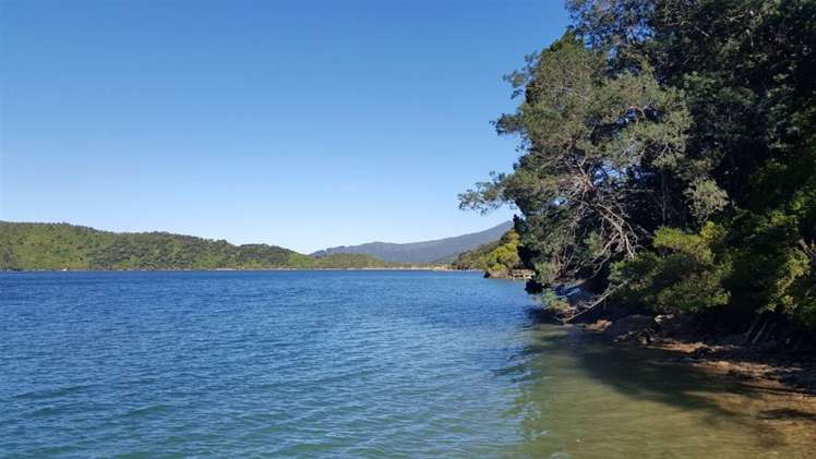 Torea Moua Bay Marlborough_21