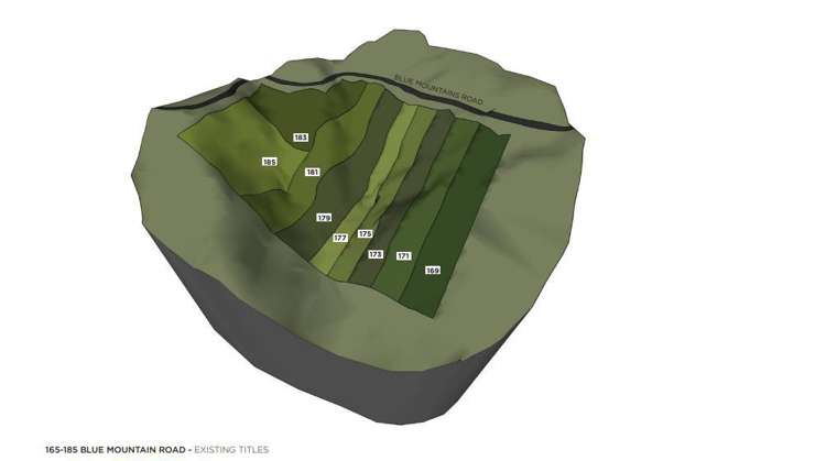 173 Blue Mountains Road Blue Mountains_5