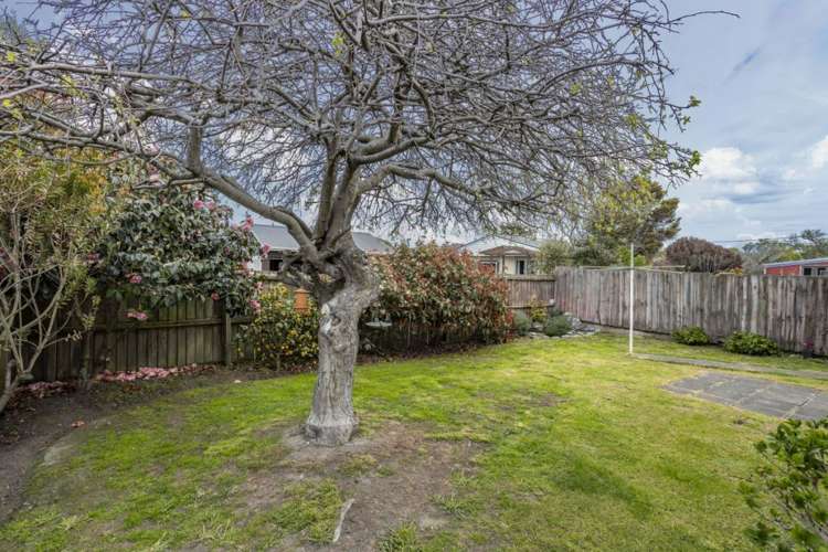 2/17 Sandra Street South New Brighton_18