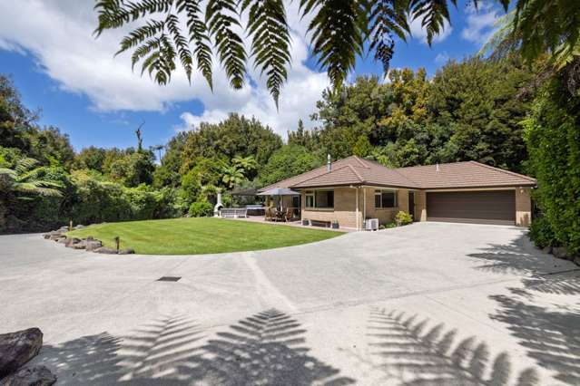 Gorgeous bush clad home In Whakamarama