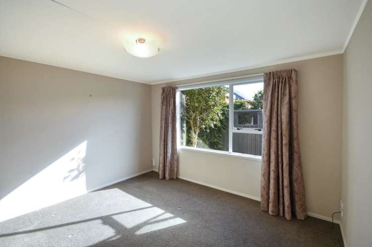 84b Hargest Crescent Saint Clair_9