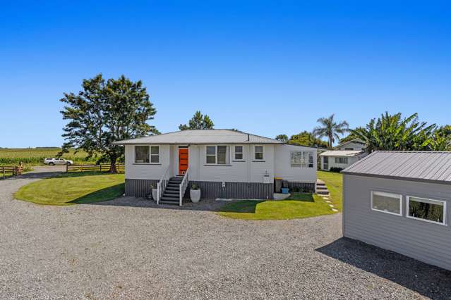 99 Selwyn Road Whakatane_3