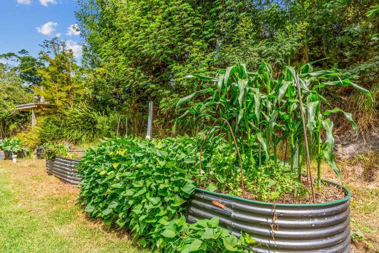 146A Hokianga Road Dargaville_24