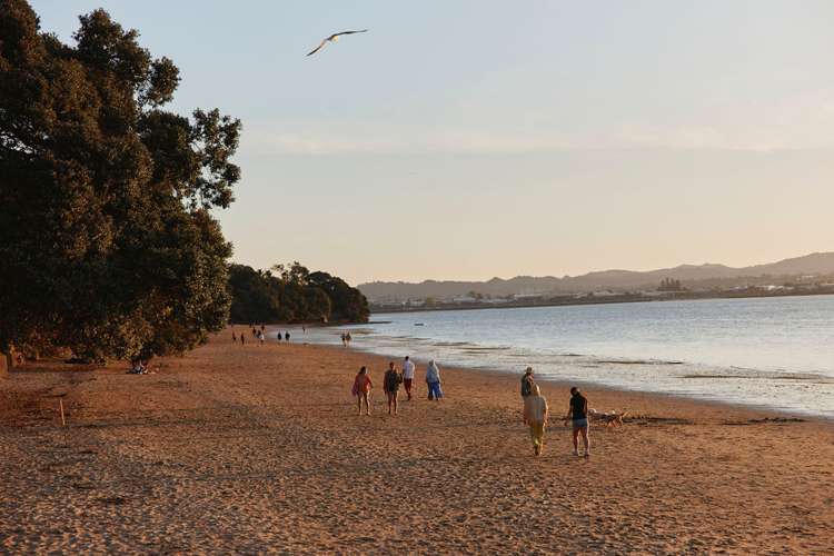 9c Saint Michaels Avenue Point Chevalier_16