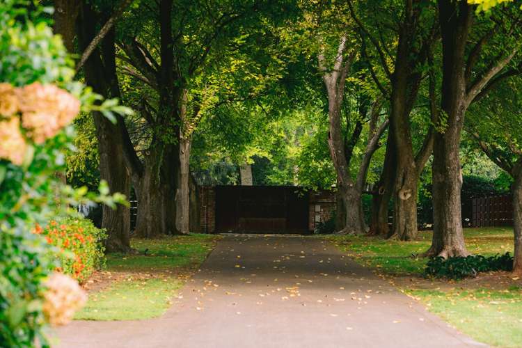 1/59c Western Ave Omokoroa Beach_5