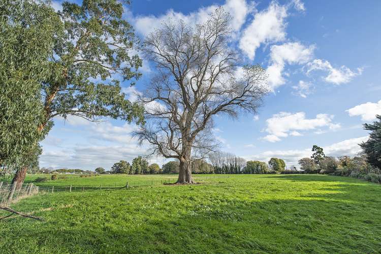 Old Tai Tapu Road Tai Tapu_5