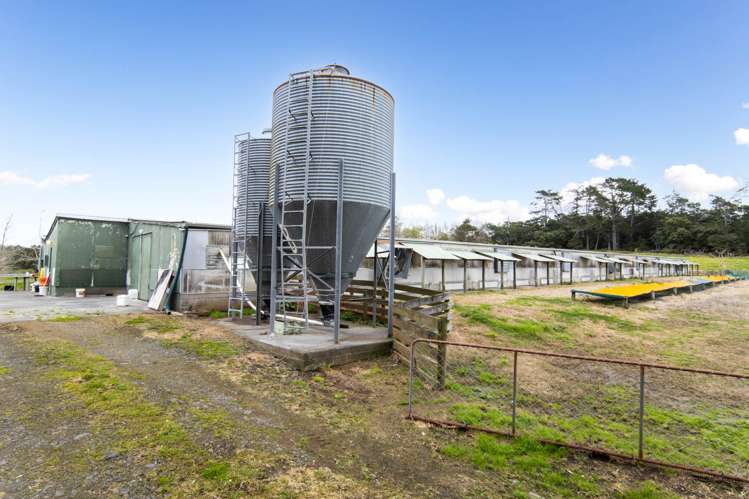 118 Motu Road Huapai_17