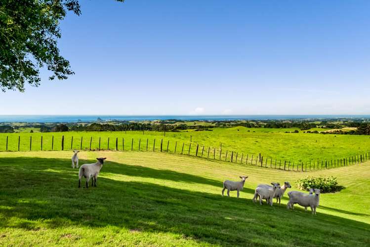 911 Plymouth Road Koru_46