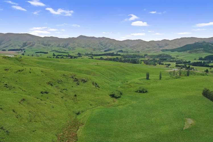 67 Macraes Road Dunback_28