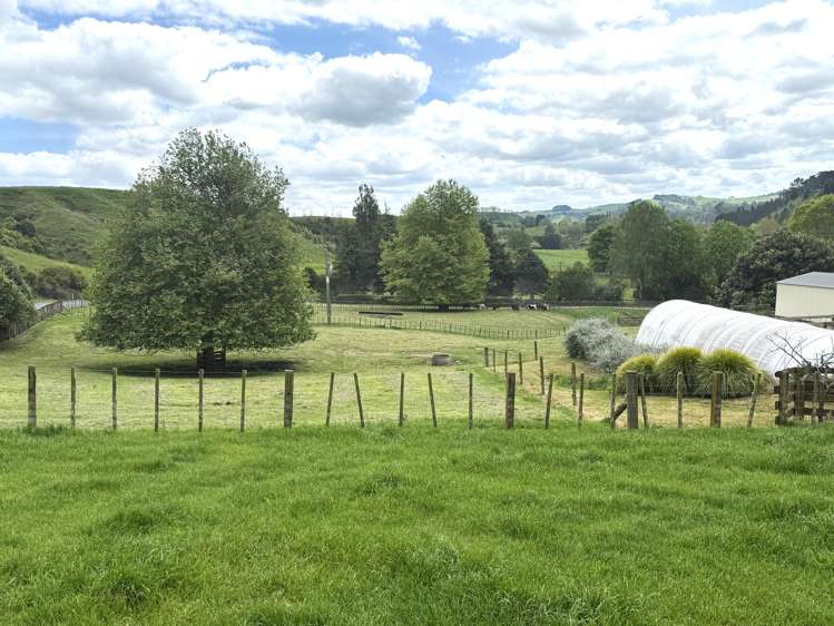 128 Taotaoroa Road Matamata_11