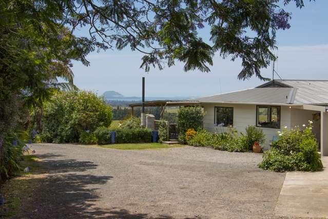 236 Waipapa Block Road Whakamarama_2