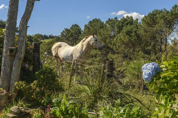 452 Poripori Road Kaimai_6