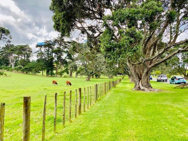 2/37 Turama Road 1780_14