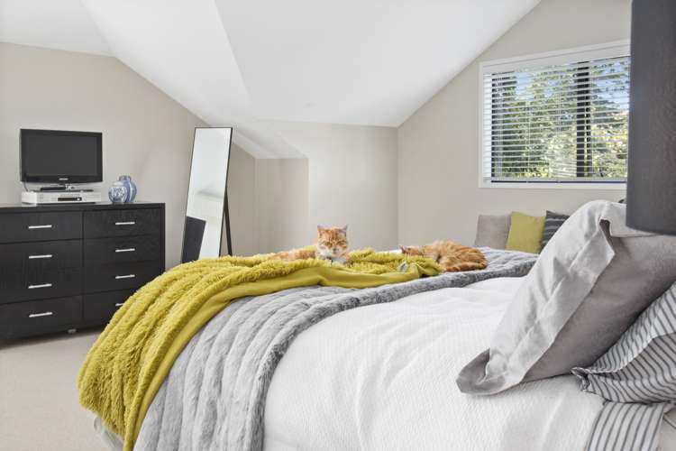 70b Temple Street Meadowbank_11