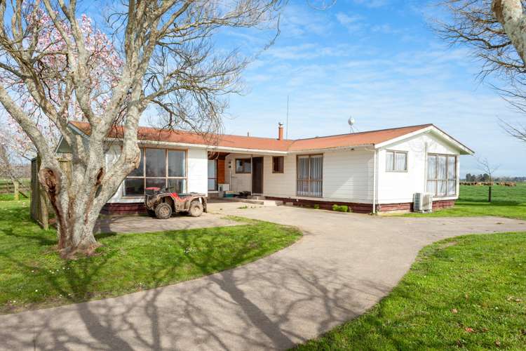 497 No. 7 Road Morrinsville_15