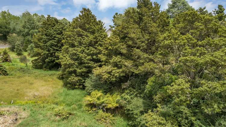 390 Matarau Road Ruatangata_22