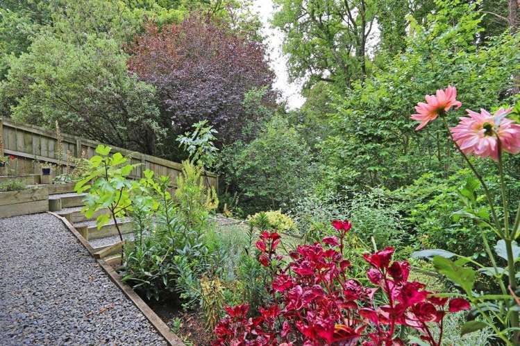 5 George Place Havelock North_15