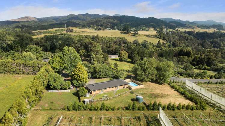 64 Pukekauri Road Waikino_25