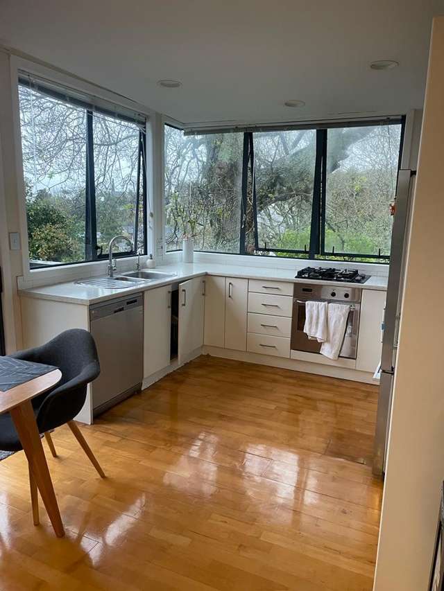 47 Hendry Avenue Hillsborough_3