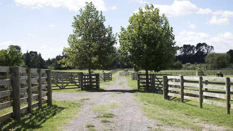 445 Mystery Creek Road Ohaupo_18