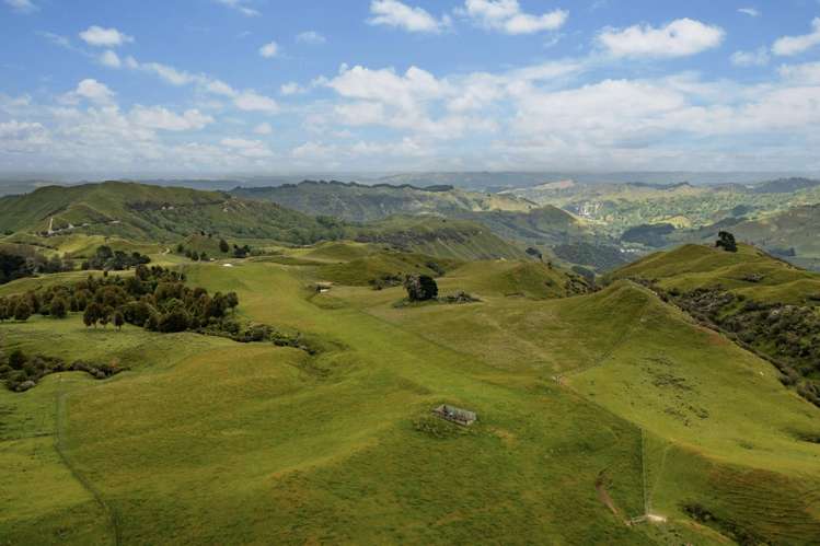 3104 Mangamahu Road Mangamahu_9