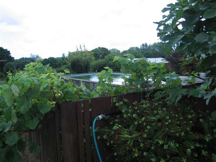 33 Ainslie Road Paeroa_5