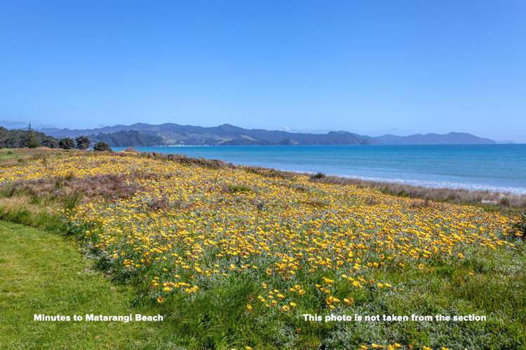 124 The Fairway Matarangi_7