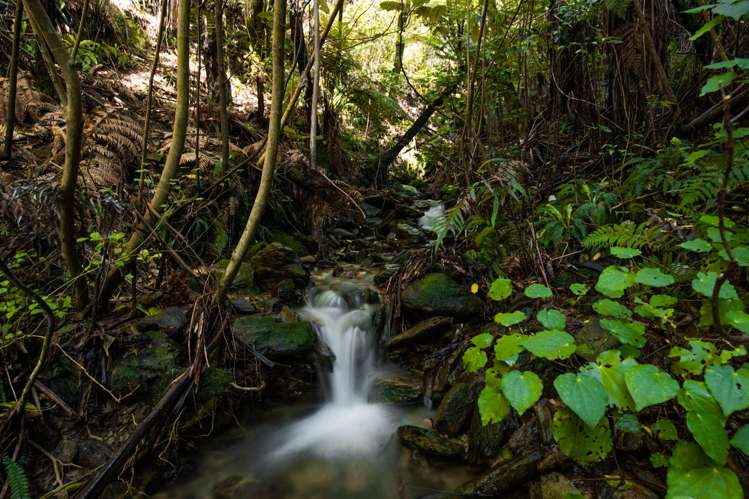 1 Black Point, Whatanihi Marlborough Sounds_24