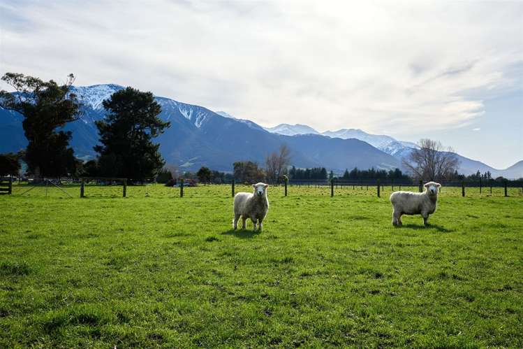 238 Red Swamp Road Kaikoura_13