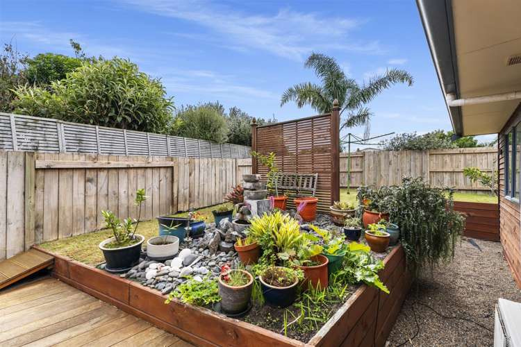 6 Thebes Grove Papamoa_15