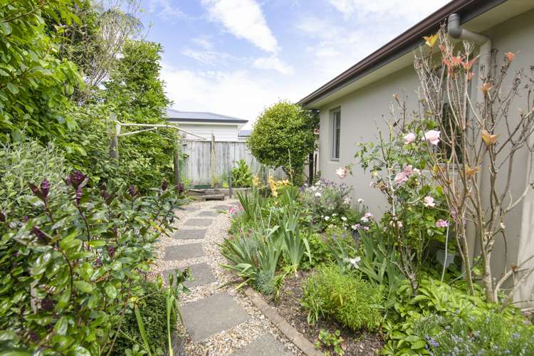 27b Pembroke Street Taradale_17