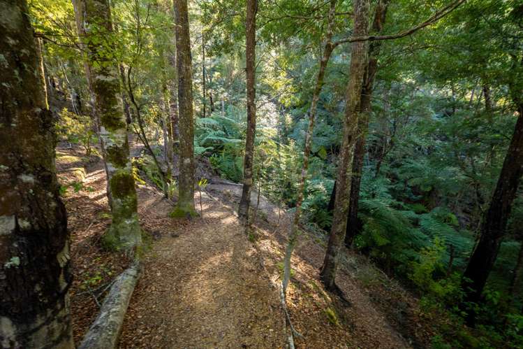 22 Herring Stream Road Motueka Valley_30