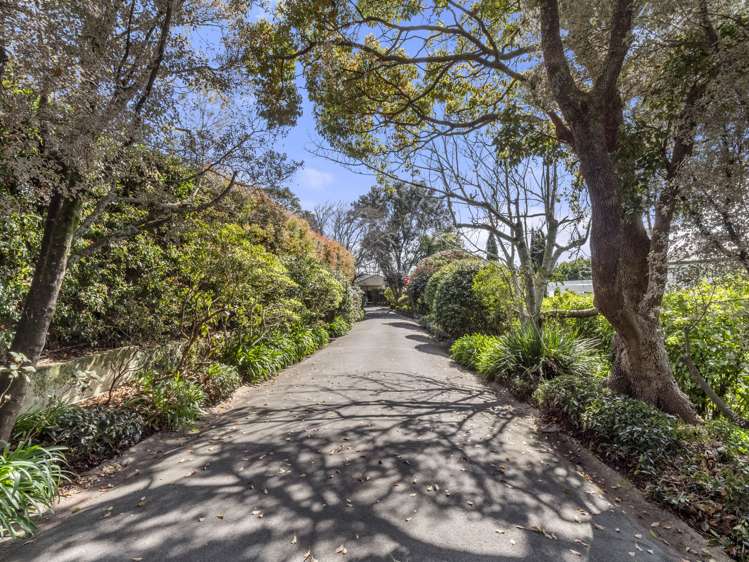 5/48 Arney Road Remuera_29