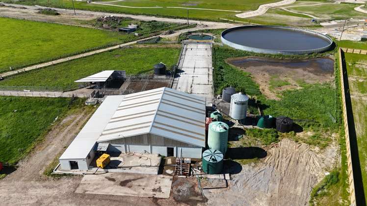 1491B-C Springs Road_0