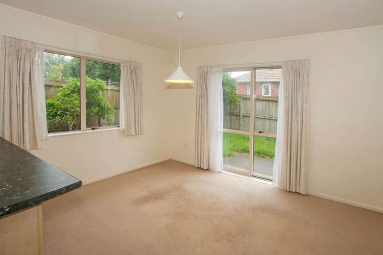 17e Cradock Street Avondale_2