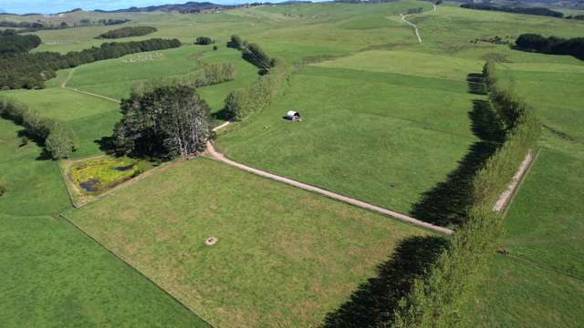 374 Rakauwahia Road Taheke_1