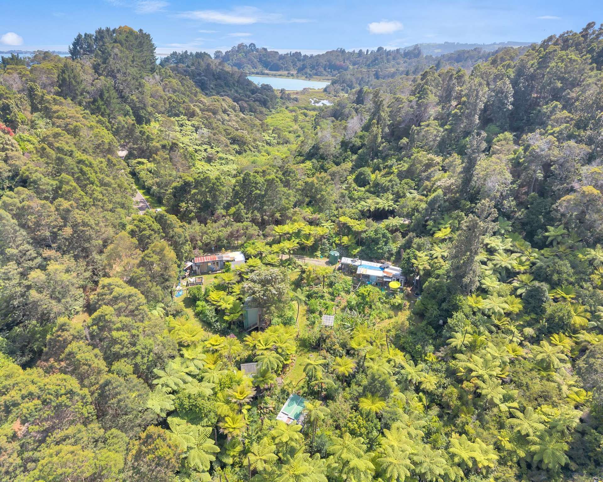 Ohiwa Loop Road Waiotahi_0