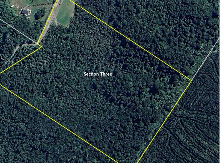 8 Chesterfield Road Awatuna_16