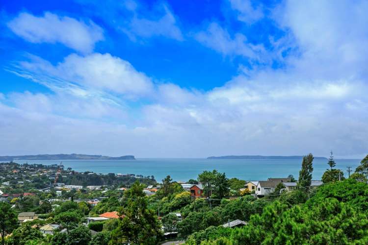 187a Browns Bay Road Browns Bay_16